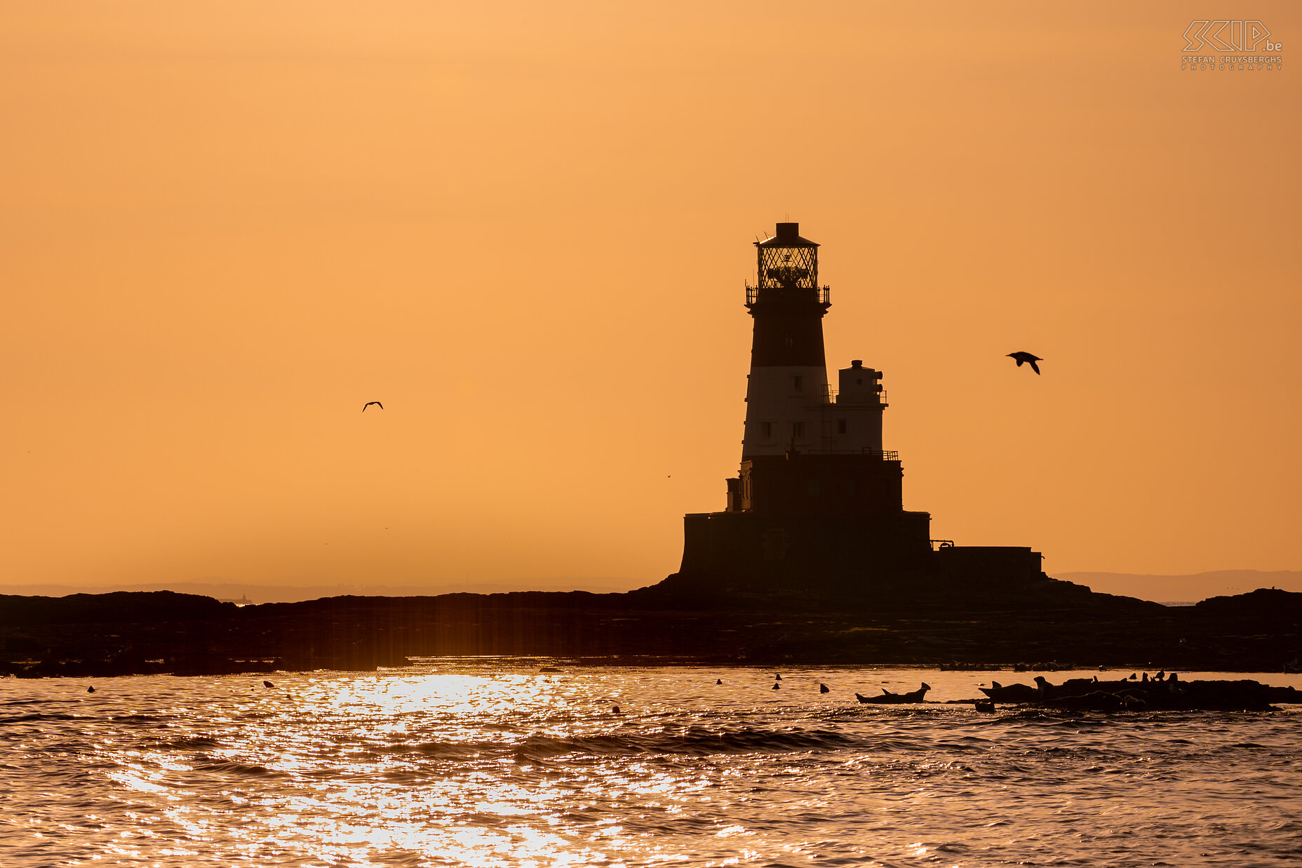 Farne Islands - Zonsondergang aan Longstone lighthouse Op het eiland Longstone staat er een nog steeds werkende en karakteristieke, rood met witte vuurtoren die werd gebouwd in 1826. Stefan Cruysberghs